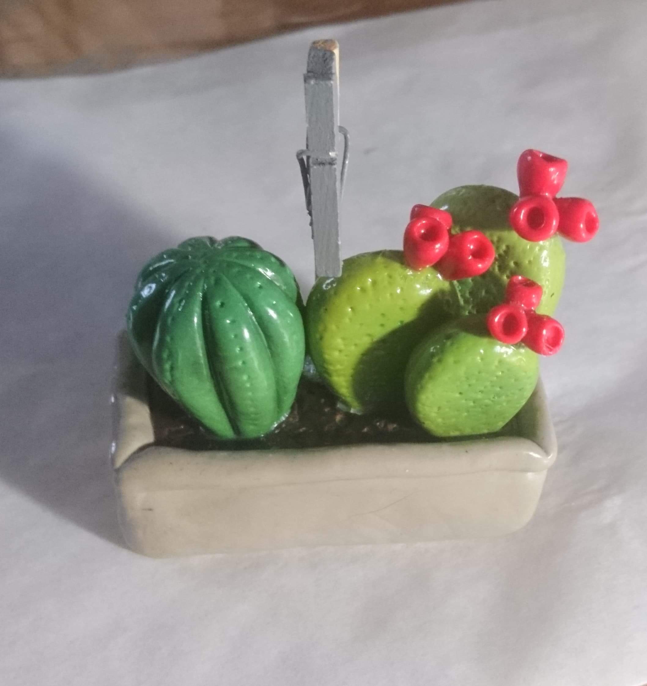 pot de cactus